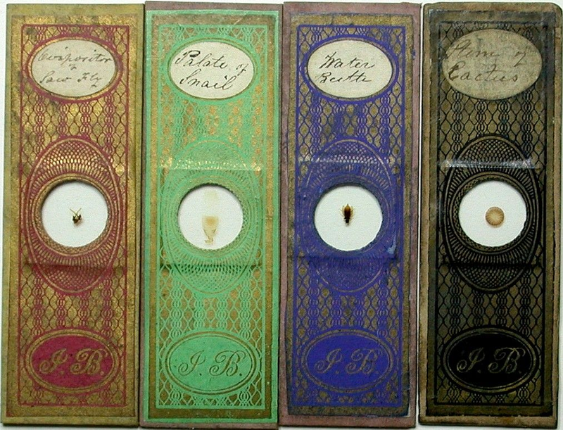Illustration for article titled Even Victorian microscope slides were beautifully ornate